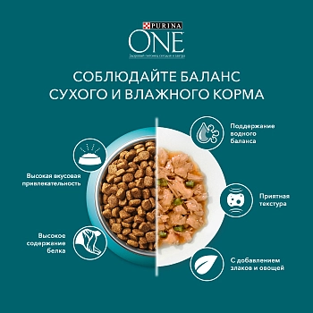 Purina One пауч для стерилизованных кошек (кусочки в подливе)