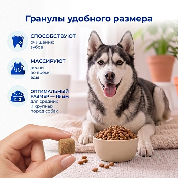 Jarvi сухой полнорационный корм для взрослых собак средних и крупных пород
