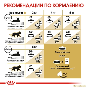 Royal Canin Sphynx Adult для взрослых кошек породы сфинкс