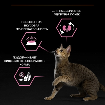 Pro Plan Delicate для кошек с чувствительным пищеварением