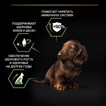 Pro Plan Small & Mini Puppy корм для щенков мелких и карликовых пород