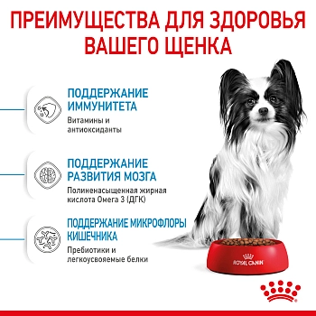 Royal Canin X-Small Puppy для щенков миниатюрных пород