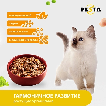 Pesta пауч для кошек (кусочки в соусе)