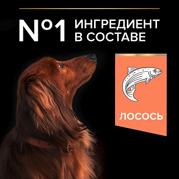 Pro Plan Small & Mini Adult Sensitive Skin корм для взрослых собак мелких и карликовых пород