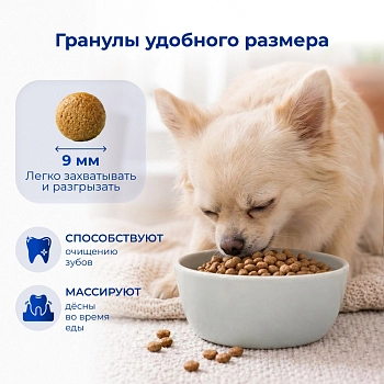 Jarvi сухой полнорационный корм для взрослых собак мелких пород