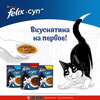 Felix Soup пауч для кошек (кусочки в соусе)