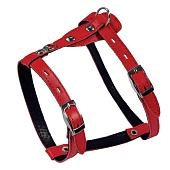 Гамма шлейка Моника кожа