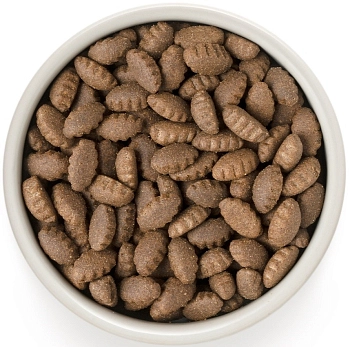 Grandorf Turkey & Rice Maxi корм для взрослых собак крупных пород