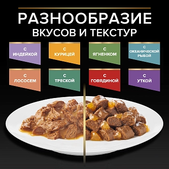 Pro Plan Nutrisavour Delicate пауч для кошек с чувствительным пищеварением (кусочки в соусе)