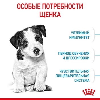 Royal Canin Mini Puppy для щенков мелких пород