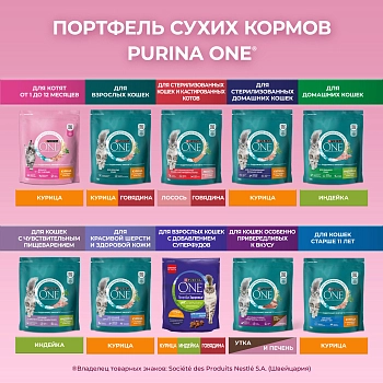 Purina One корм для котят