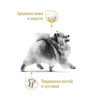 Royal Canin Pomeranian Adult Dry корм для собак породы померанский шпиц
