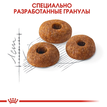 Royal Canin Fit для кошек бывающих на улице