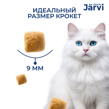 Jarvi сухой полнорационный корм для взрослых кошек