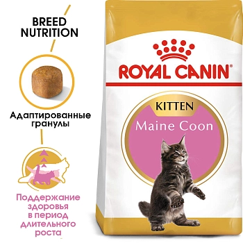 Royal Canin Maine Coon Kitten для котят породы мейн-кун