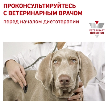 Royal Canin Hypoallergenic корм для собак с пищевой аллергией