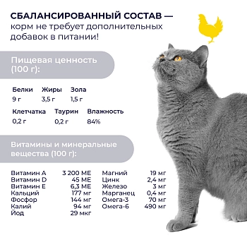 Jarvi Preventive diet line Urinary пауч для кошек для профилактики заболеваний МКБ (соус)