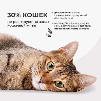 Dono Della игрушка Попугай ара с кошачьей мятой, погремушкой и валерианой для кошек