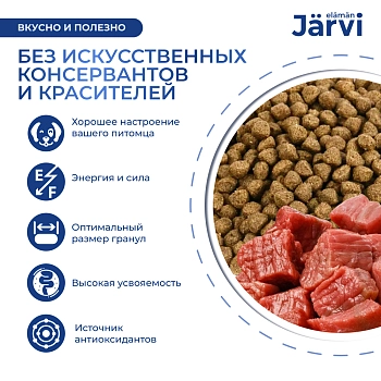 Jarvi сухой полнорационный корм для взрослых собак мелких пород