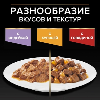 Pro Plan Nutrisavour Junior пауч для котят (кусочки в соусе)