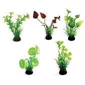 Laguna Растения разноцветные (набор 5шт) 