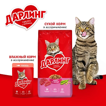 Дарлинг пауч для кошек (кусочки в подливе)