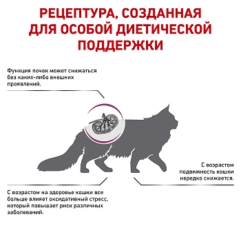 Royal Canin Early Renal для взрослых кошек при ранней стадии почечной недостаточности