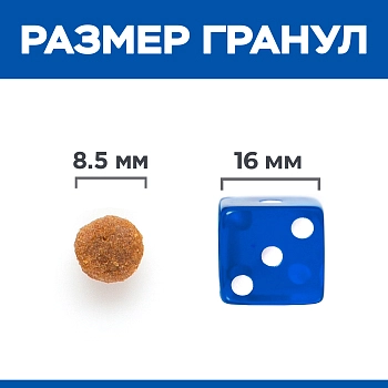 Hill's Science Plan No Grain Adult беззлаковый сухой корм для взрослых кошек