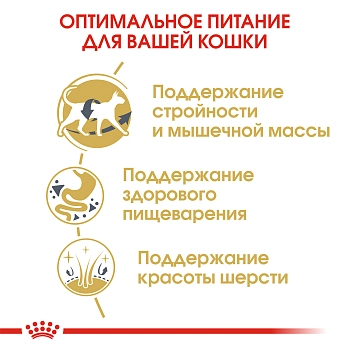 Royal Canin Siamese Adult для взрослых кошек сиамской породы