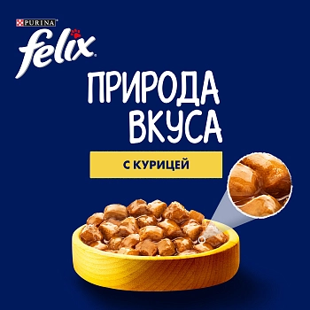 Felix Природа вкуса пауч для кошек (кусочки в соусе)