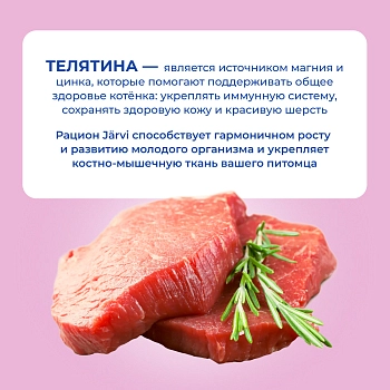 Jarvi Extra meat line пауч для котят (кусочки в соусе)