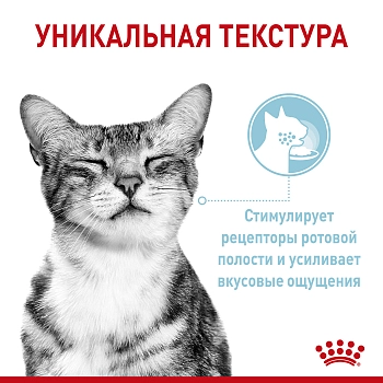 Royal Canin Sensory Feel пауч для взрослых кошек "Ощущения" (кусочки в соусе)