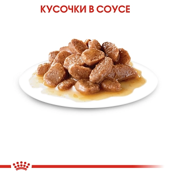 Royal Canin Instinctive пауч для кошек (кусочки в соусе)