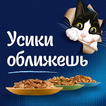 Felix Sensations Супервкус пауч для взрослых кошек (кусочки в желе)