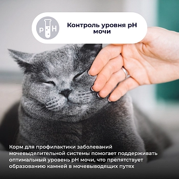 Jarvi Preventive diet line Urinary пауч для кошек для профилактики заболеваний МКБ (соус)