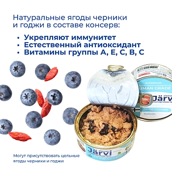 Jarvi монопротеиновые полнорационные консервы для собак и щенков всех пород с 3-х месяцев, 325 г.