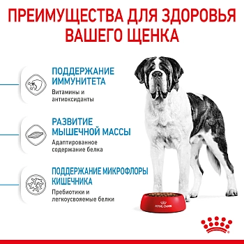 Royal Canin Giant Junior для щенков от 8 месяцев гигантских пород